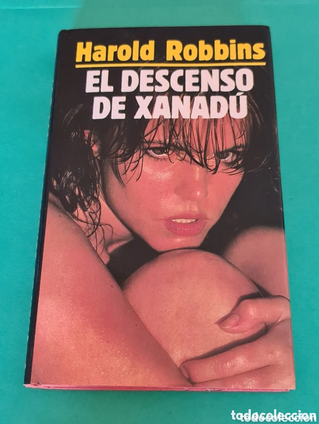 Gebrauchte B&uuml;cher: Libro El descenso de Xanadu.