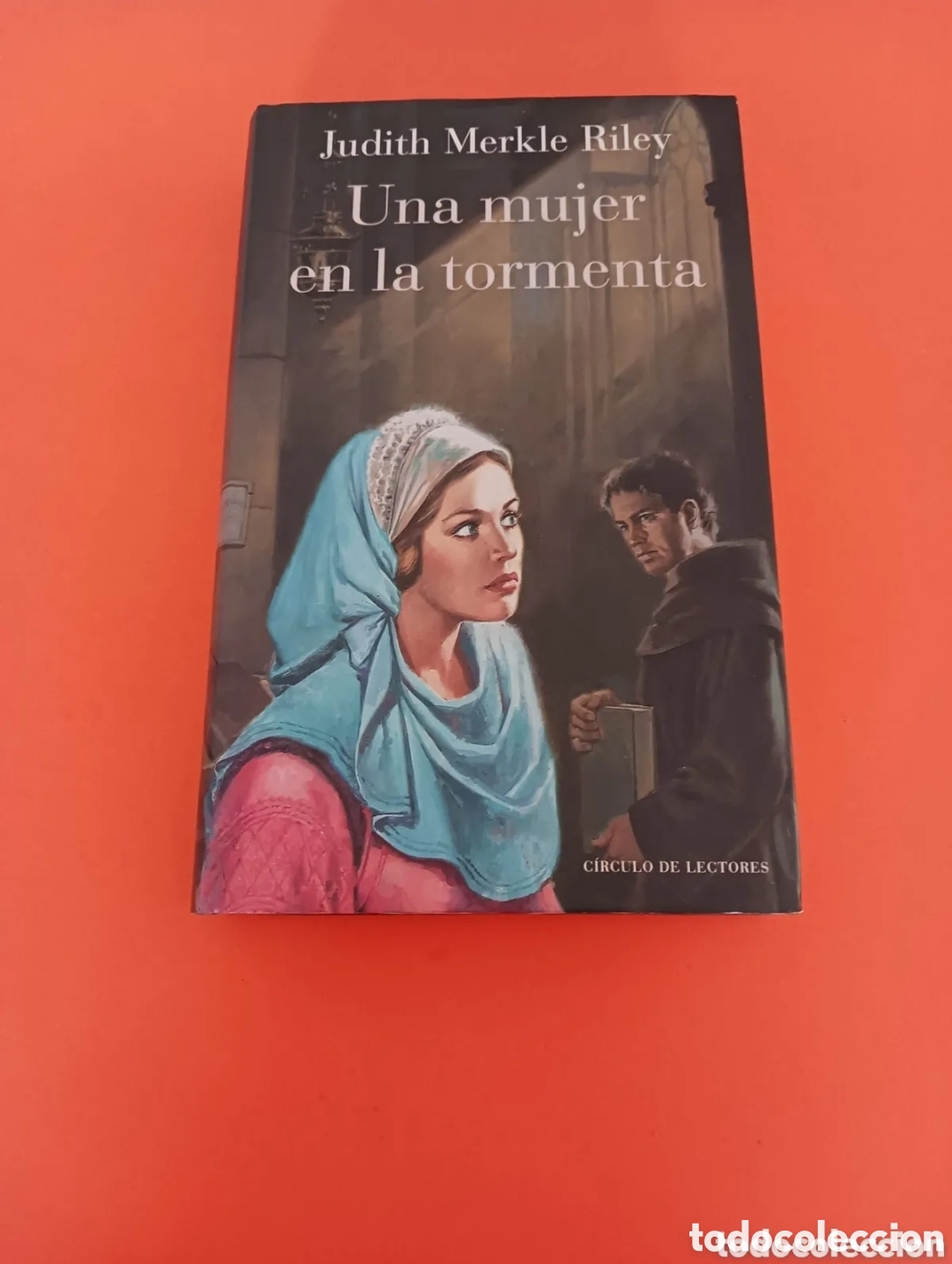 Libros de segunda mano: Libro, Una mujer en la tormenta. JUDITH MERKLE RILEY.