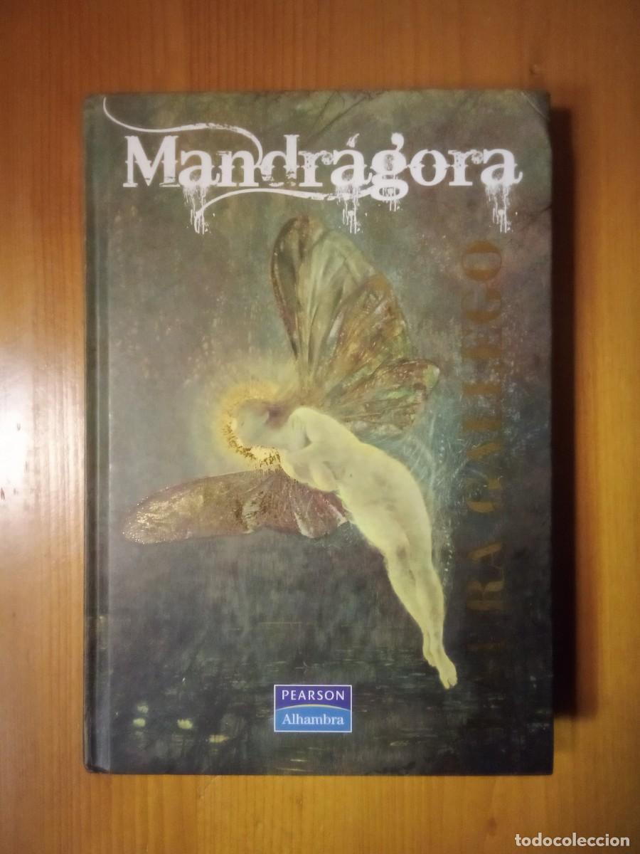Gebrauchte B&uuml;cher: MANDRAGORA, LAURA GALLEGO