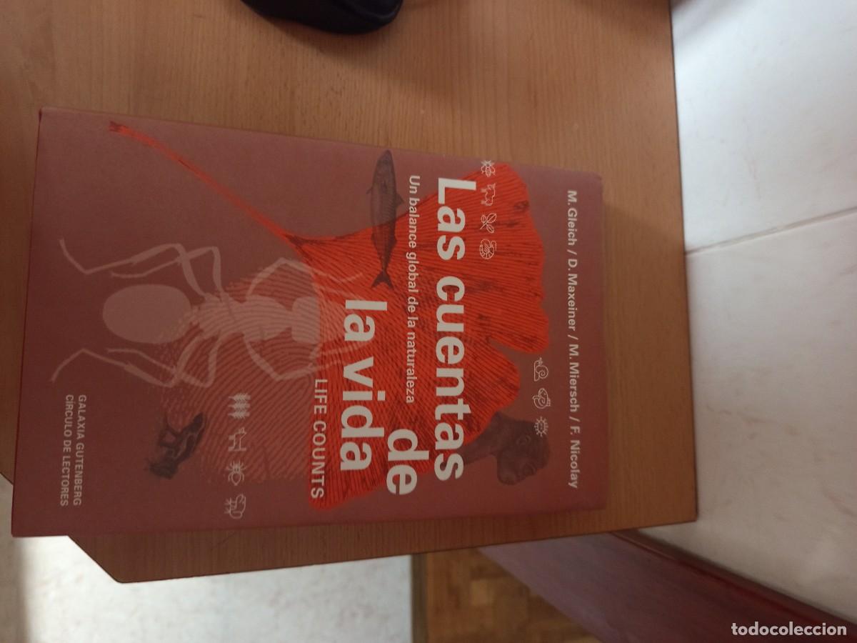 Libros de segunda mano: LAS CUENTAS DE LA VIDA, GALAXIA GUTENBERG