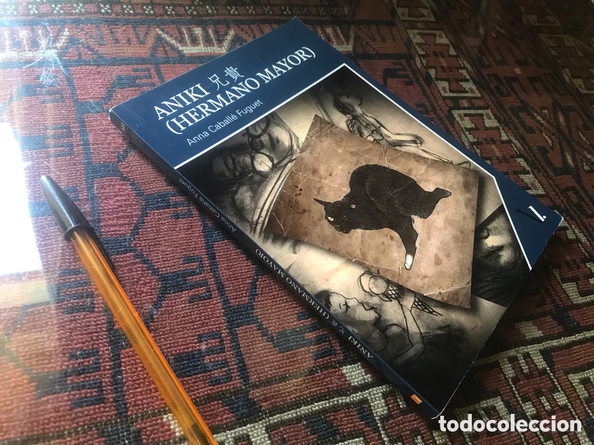 Libros de segunda mano: Aniki (Hermano mayor). Anna Caball&eacute; Fuguet. Oblicuas
