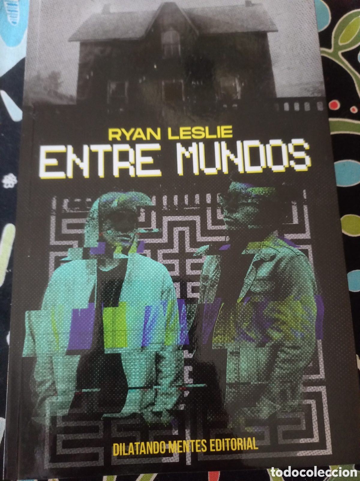 Libros de segunda mano: Entre mundos Ryan Leslie Dilatando Mentes Editorial