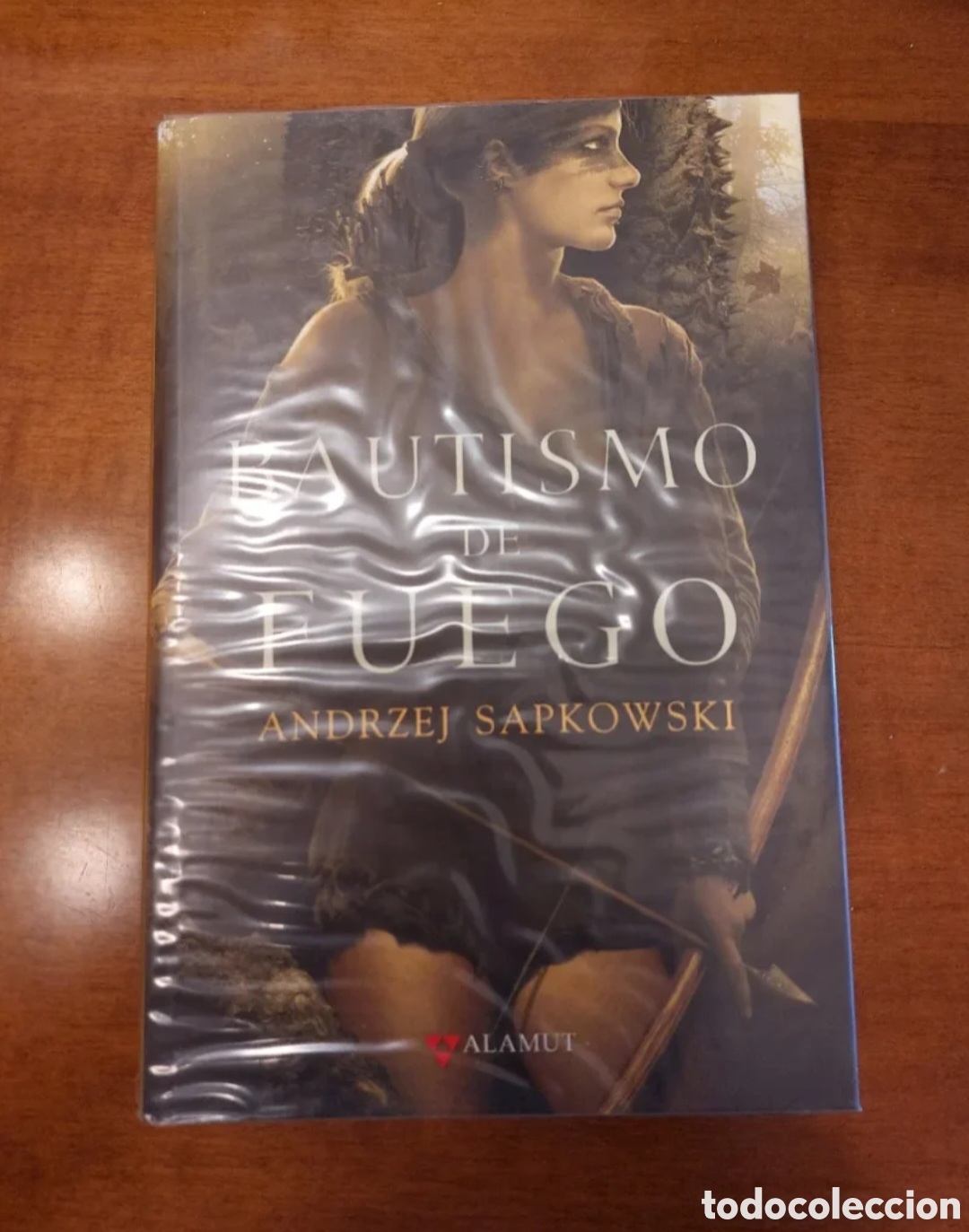 Libros de segunda mano: Bautismo de fuego - saga Geralt de Rivia - Ejemplar firmado - Primera edici&oacute;n
