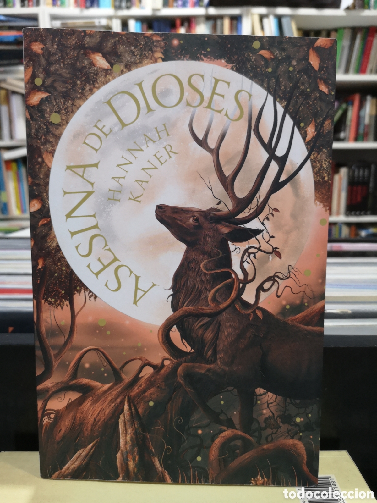 Libros de segunda mano: ASESINA DE DIOSES - HANNAH KANER - ENV&Iacute;O DESDE 1,50&euro;