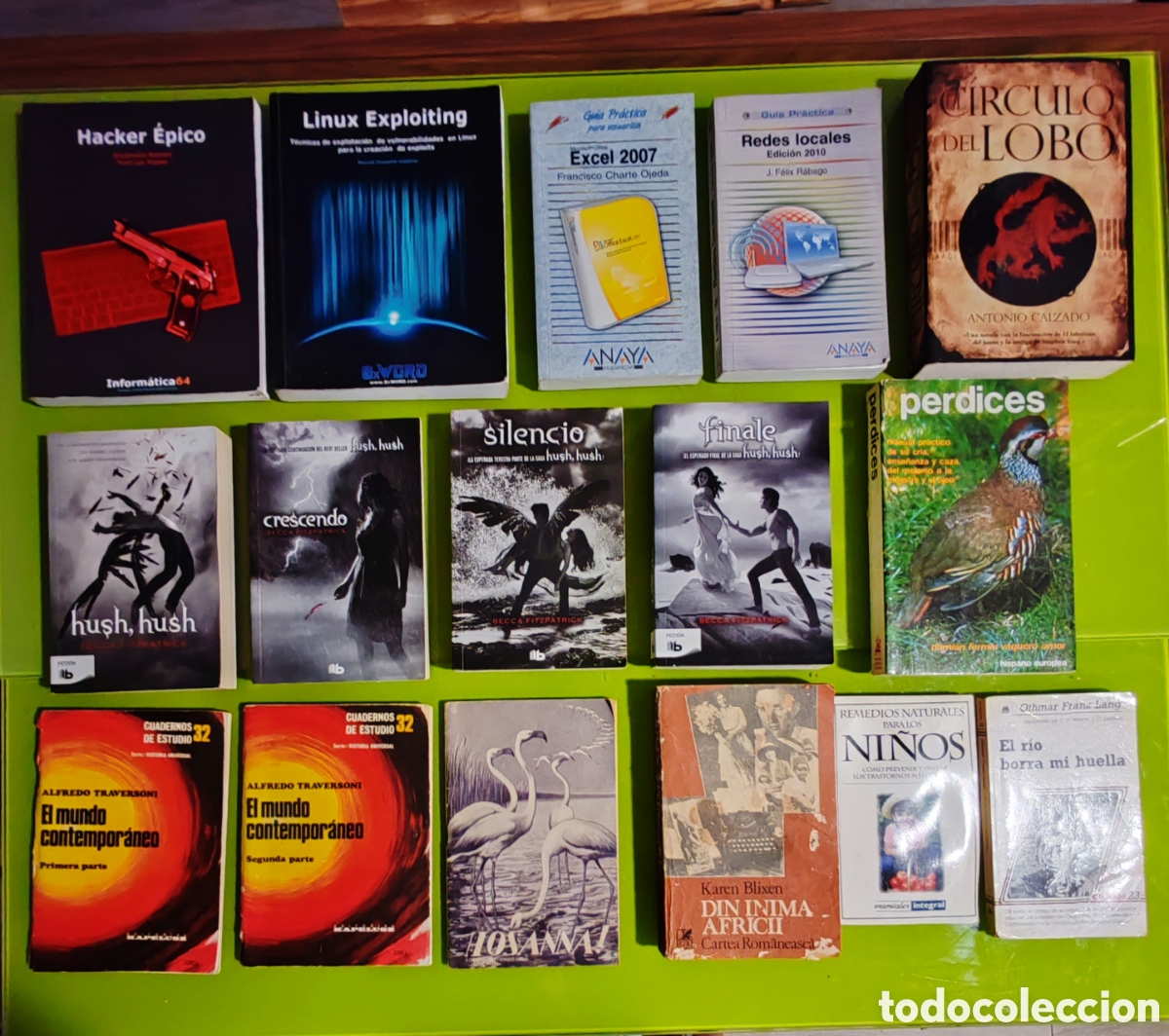 Libros de segunda mano: Libros ficci&oacute;n fantas&iacute;a inform&aacute;tica
