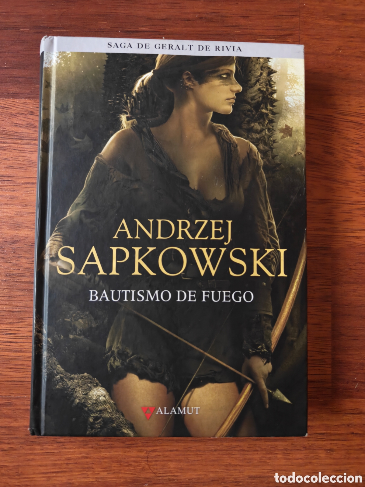 Libros de segunda mano: Bautismo de fuego. Geralt de Rivia. The Witcher. Andrzej Sapkowski. Editorial Alamut.