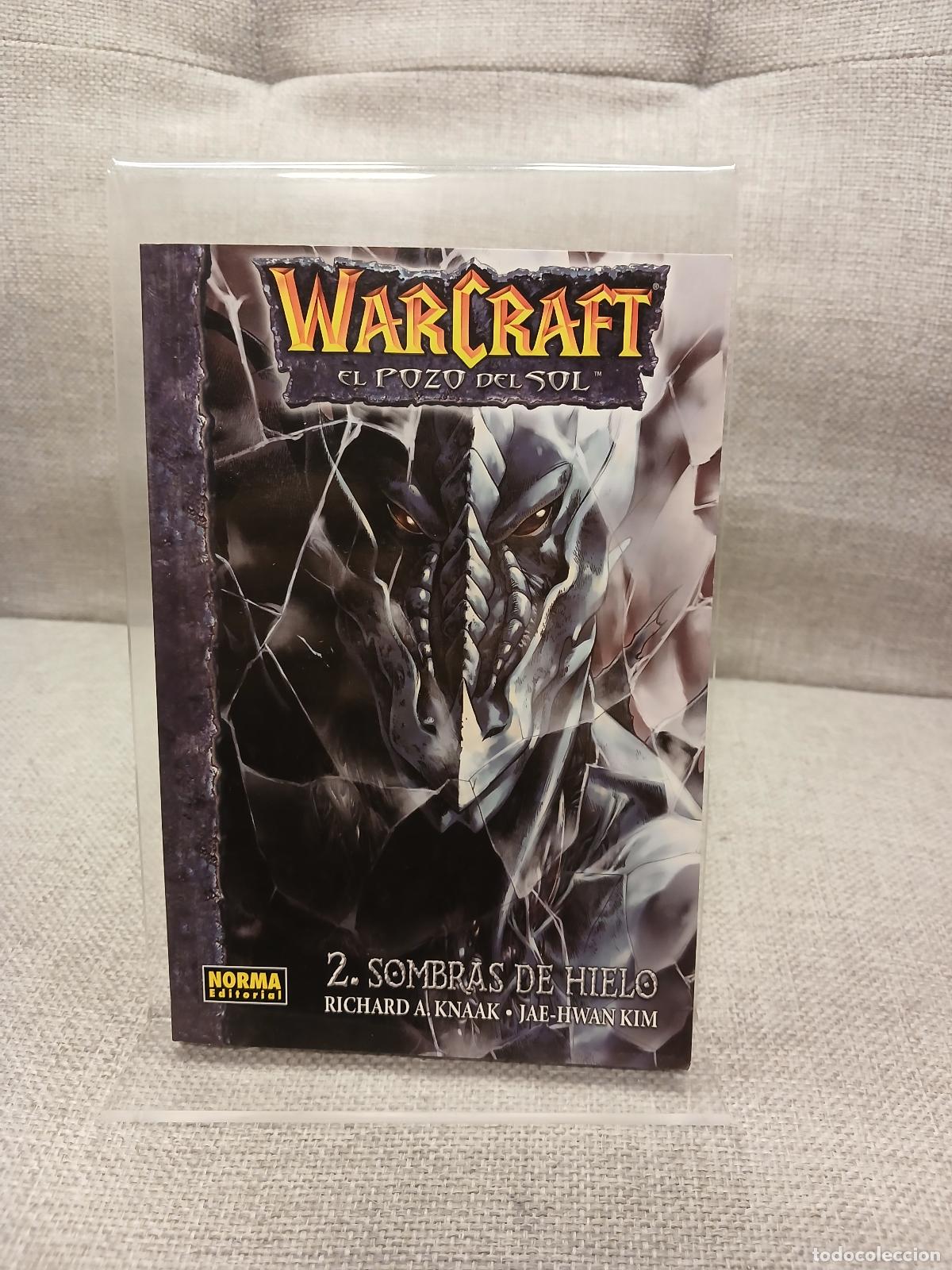 Libri di seconda mano: WARCRAFT: EL POZO DEL SOL 2. SOMBRAS DE HIELO - Richard A. Knaak