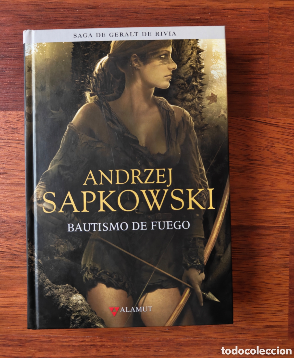 Libros de segunda mano: Bautismo de fuego. Geralt de Rivia. The Witcher. Andrzej Sapkowski. Editorial Alamut.
