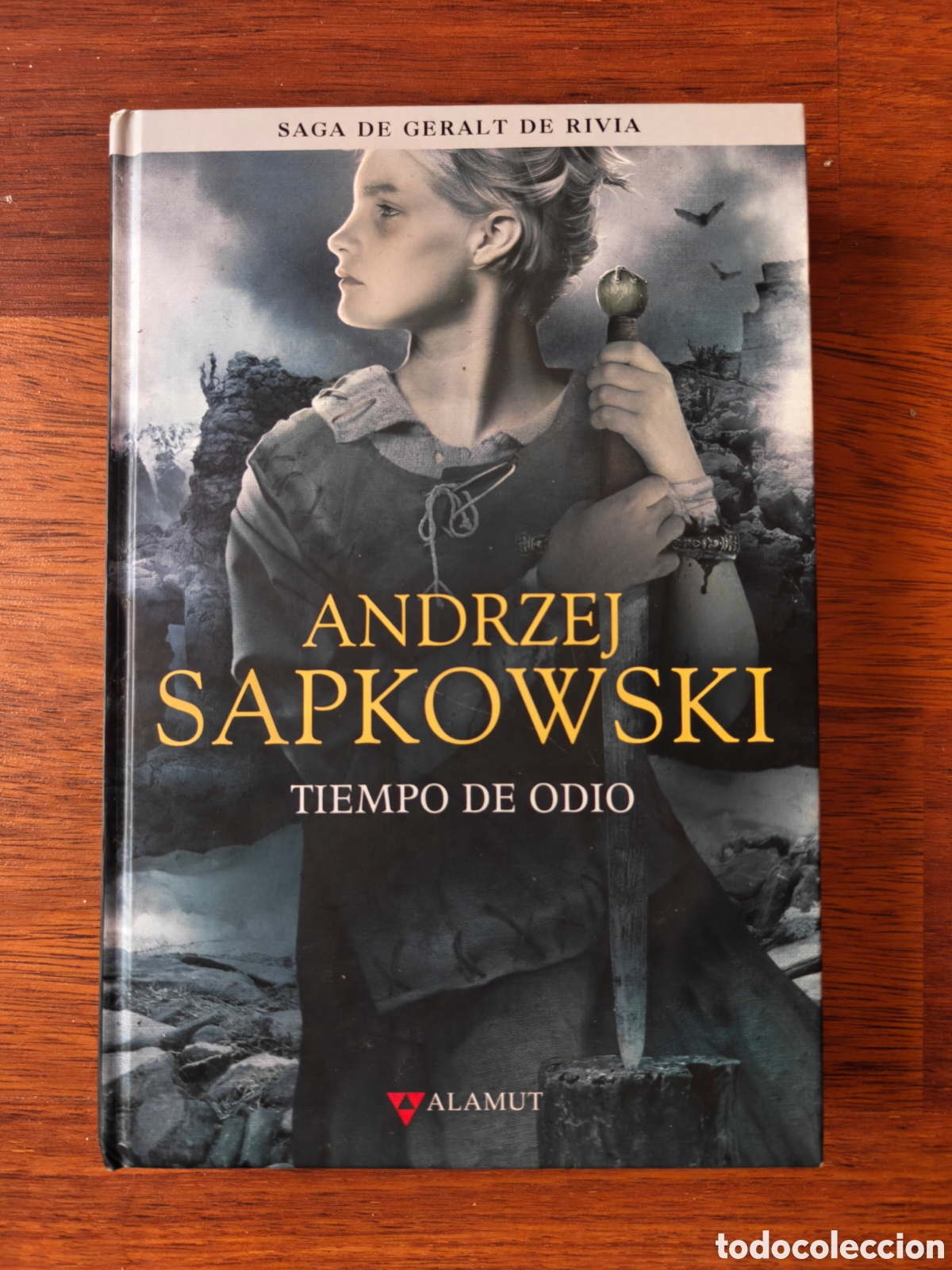 Libros de segunda mano: Tiempo de odio. Geralt de Rivia. The Witcher. Andrzej Sapkowski. Editorial Alamut.