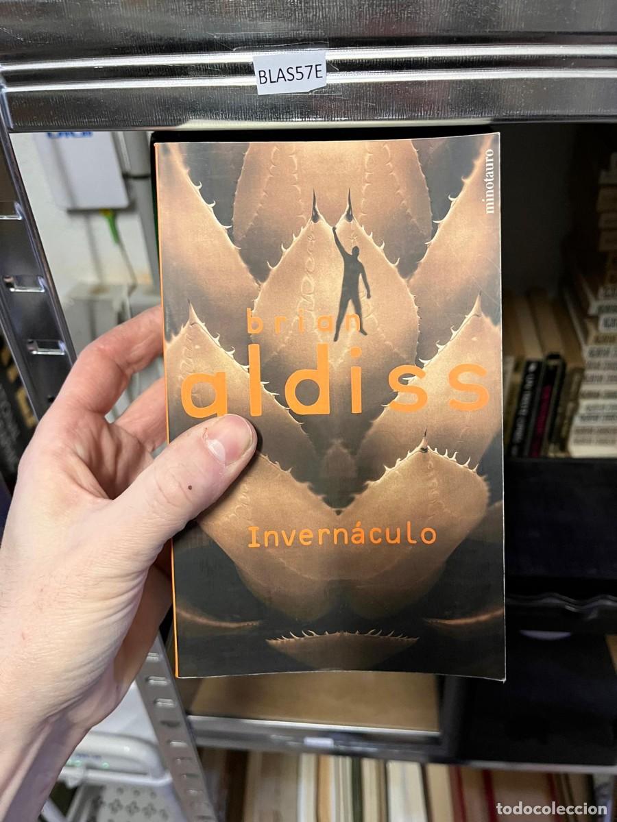 Libros de segunda mano: BLAS57E minotauro brian aldiss Invern&aacute;culo
