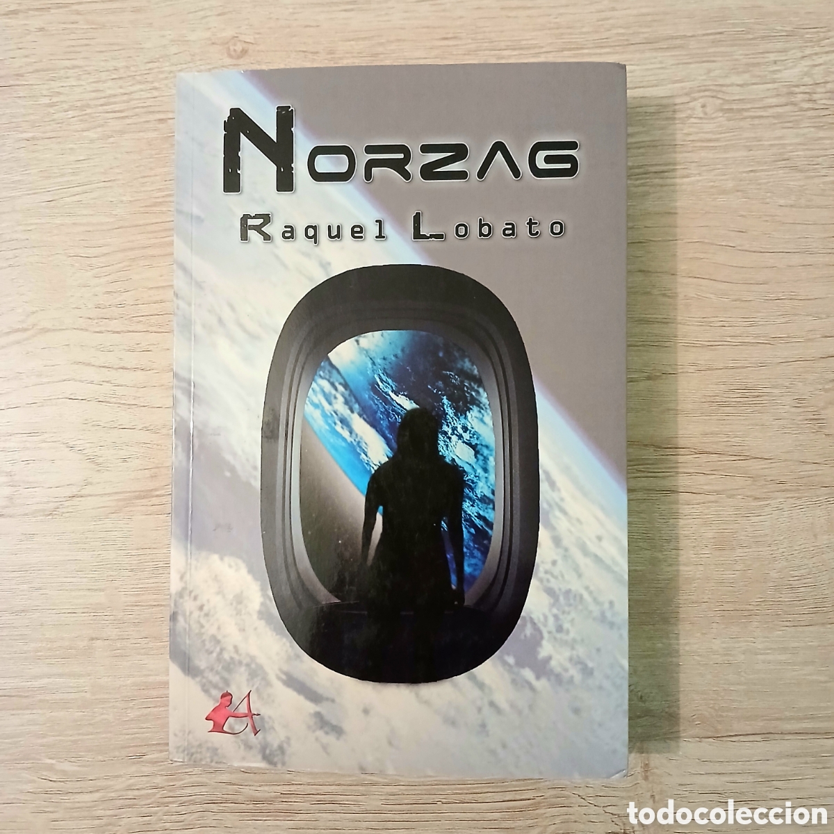 Libros de segunda mano: Norzag de Raquel Lobato