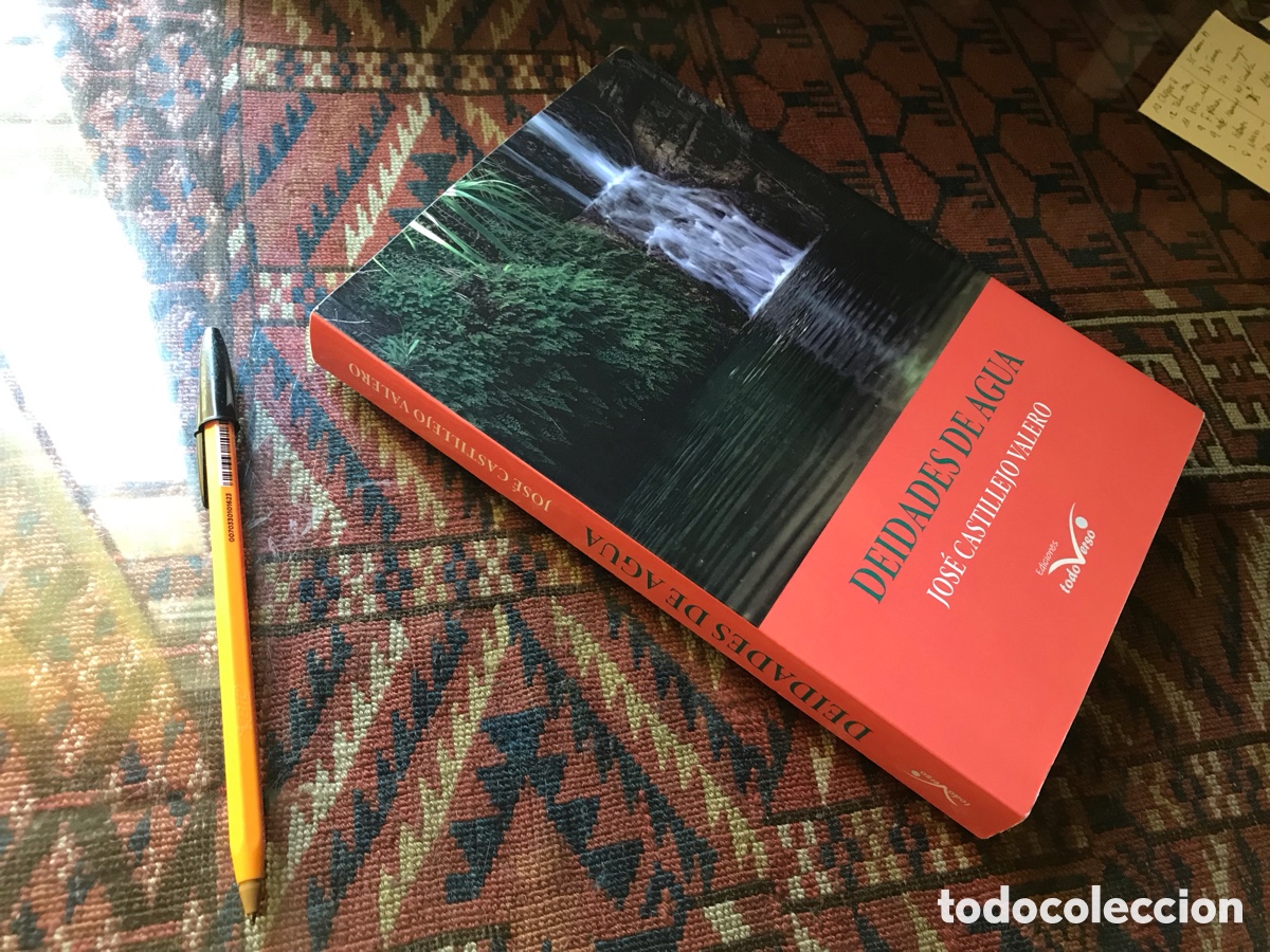 Libros de segunda mano: Deidades de agua. Jos&eacute; Castillejo Valero. Ediciones todo verso