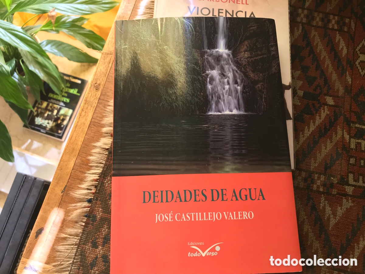 Libros de segunda mano: Deidades de agua. Jos&eacute; Castillejo Valero. Ediciones todo verso