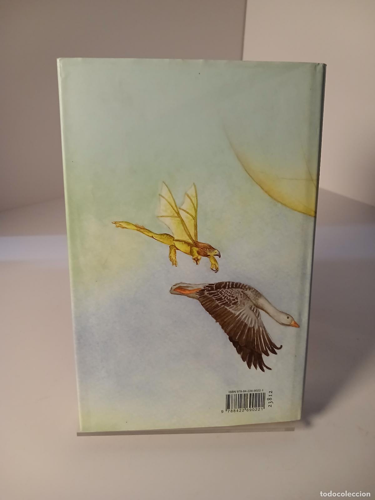 Libros de segunda mano: Luces del Norte - Philip Pullman - Foto 2