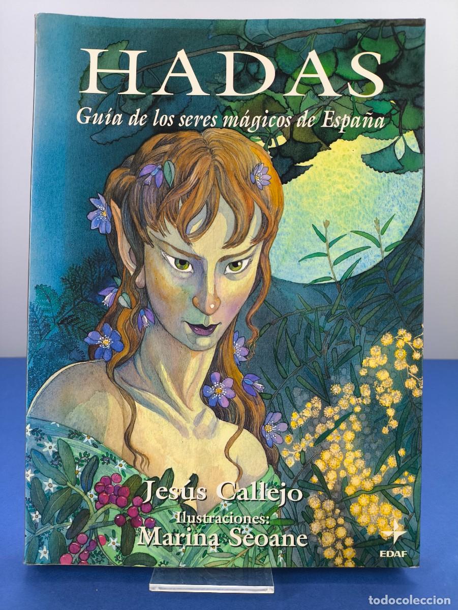 Libros de segunda mano: HADAS, GU&Iacute;A DE LOS SERES MAGICOS DE ESPA&Ntilde;A / 1995. EDAF
