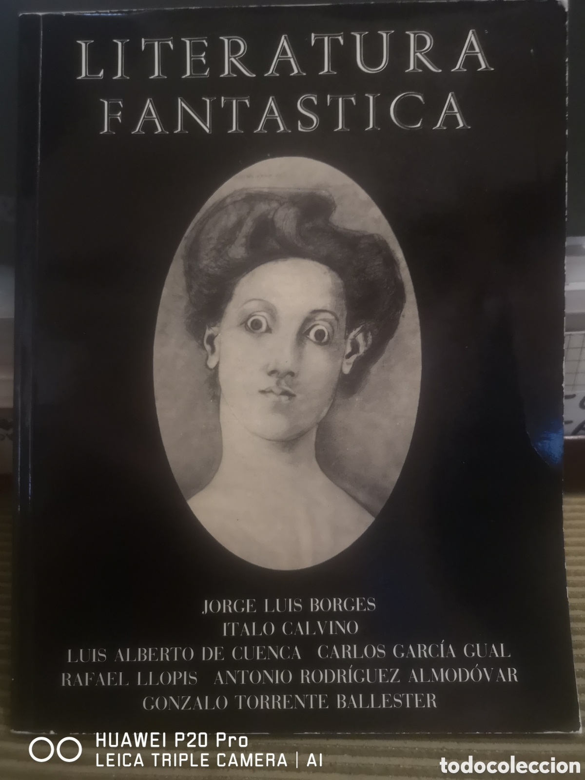 Libros de segunda mano: LITERATURA FANTASTICA . Borges, italo Calvino