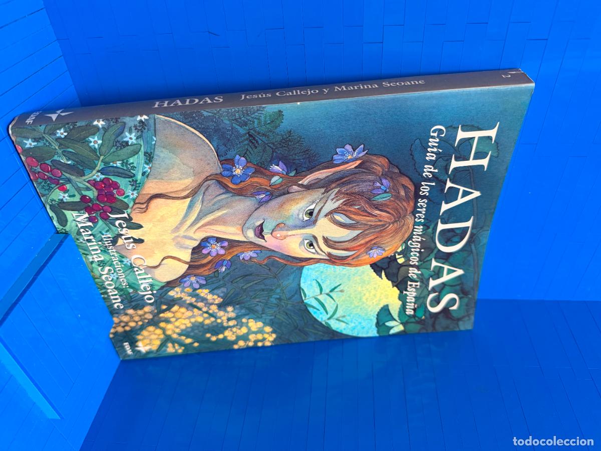 Libros de segunda mano: HADAS - GUIA DE LOS SERES MAGICOS DE ESPA&Ntilde;A &ndash; ED. EDAE &ndash; 1995 &ndash; JESUS CALLEJO CABO