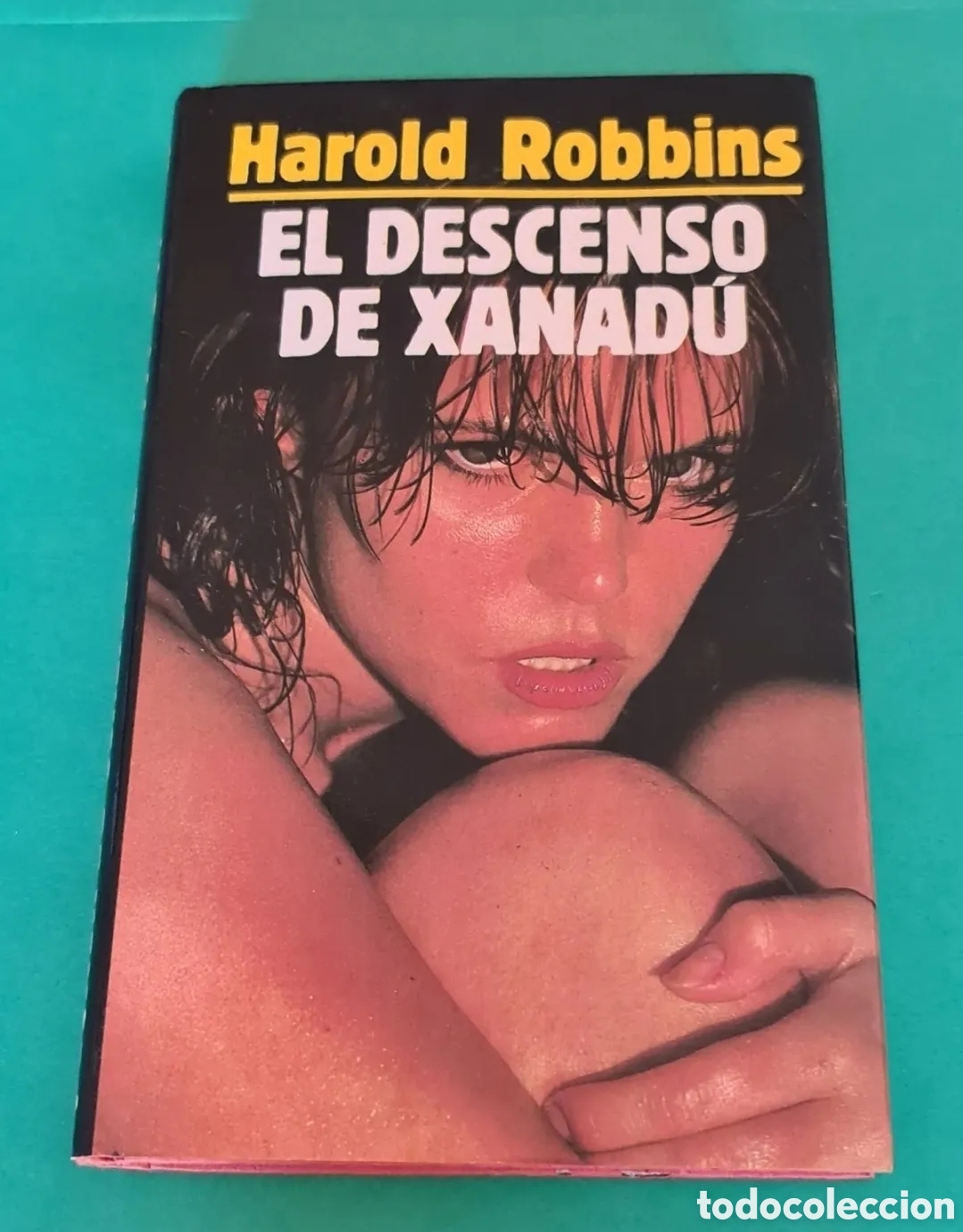 Gebrauchte B&uuml;cher: Libro El descenso de Xanadu.
