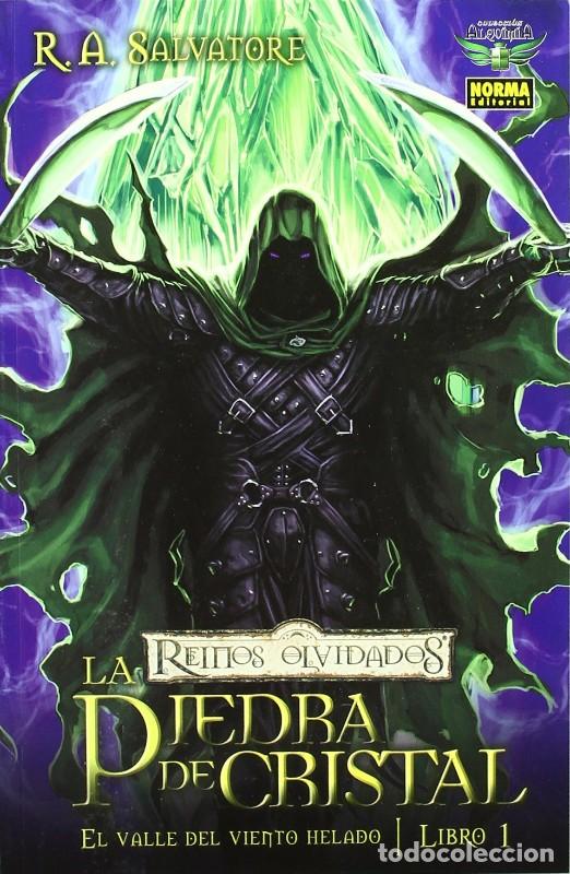 Libros de segunda mano: Reinos Olvidados 4. El Valle del Viento Helado. Libro 1 - Salvatore, R.a. - Norma Editorial - Usa, 1