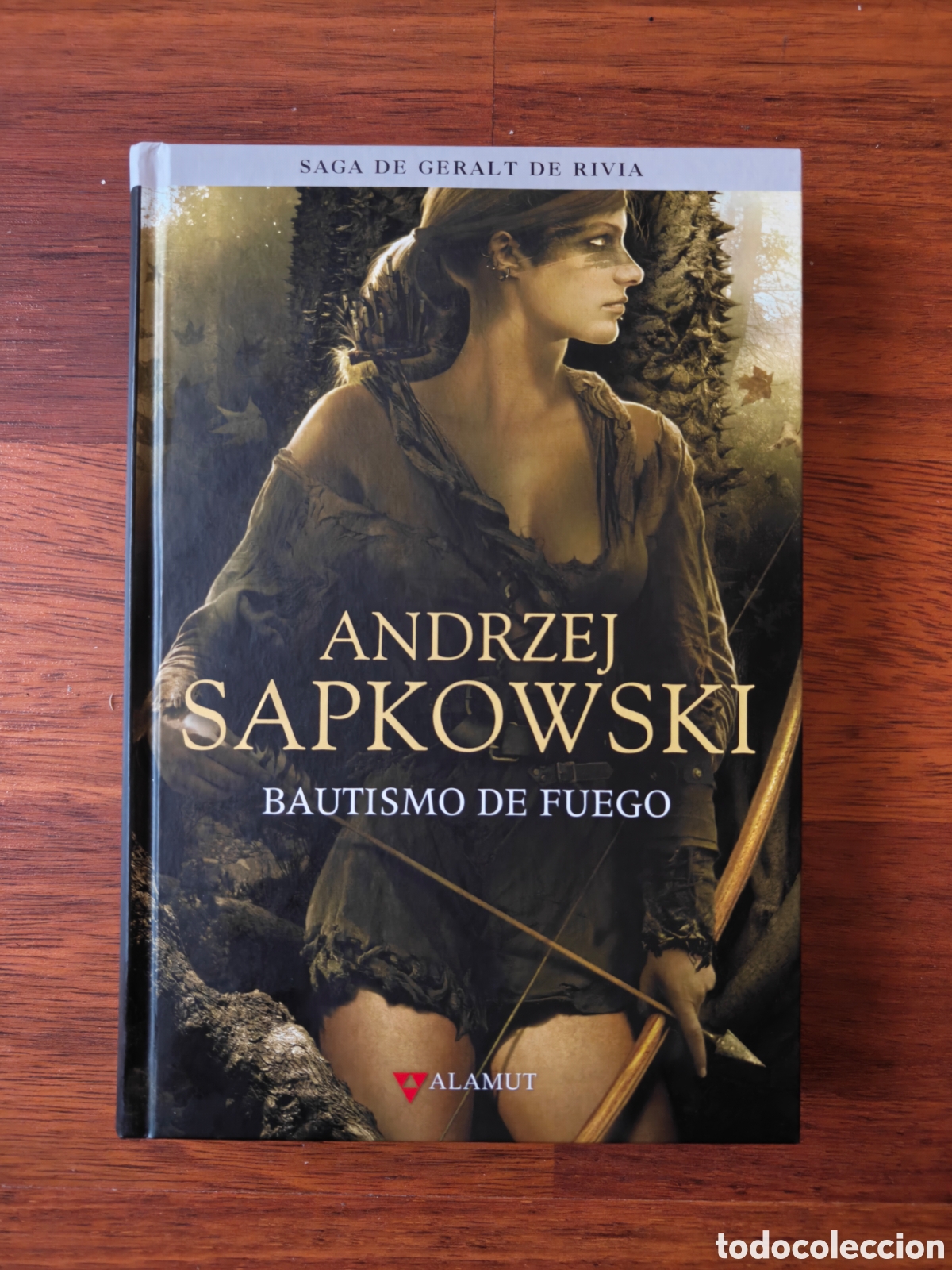 Libros de segunda mano: Bautismo de fuego. Geralt de Rivia. The Witcher. Andrzej Sapkowski. Editorial Alamut.