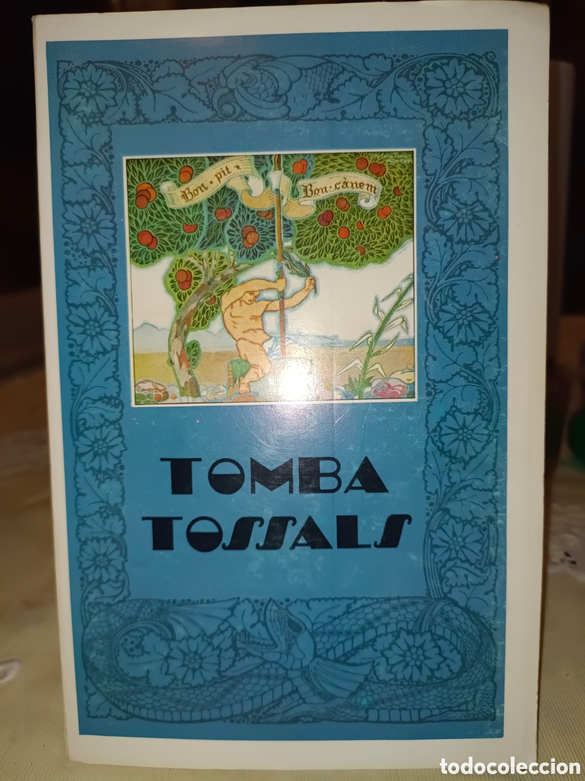 Livros em segunda m&atilde;o: Tombatossals en valenciano