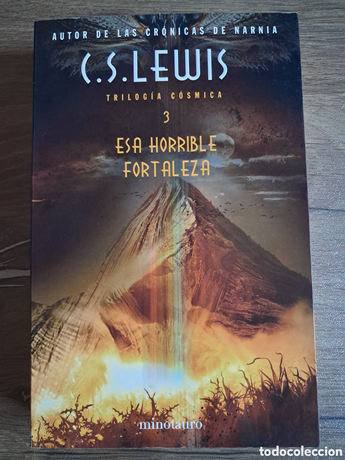 Libros de segunda mano: Novela Esa Horrible fortaleza