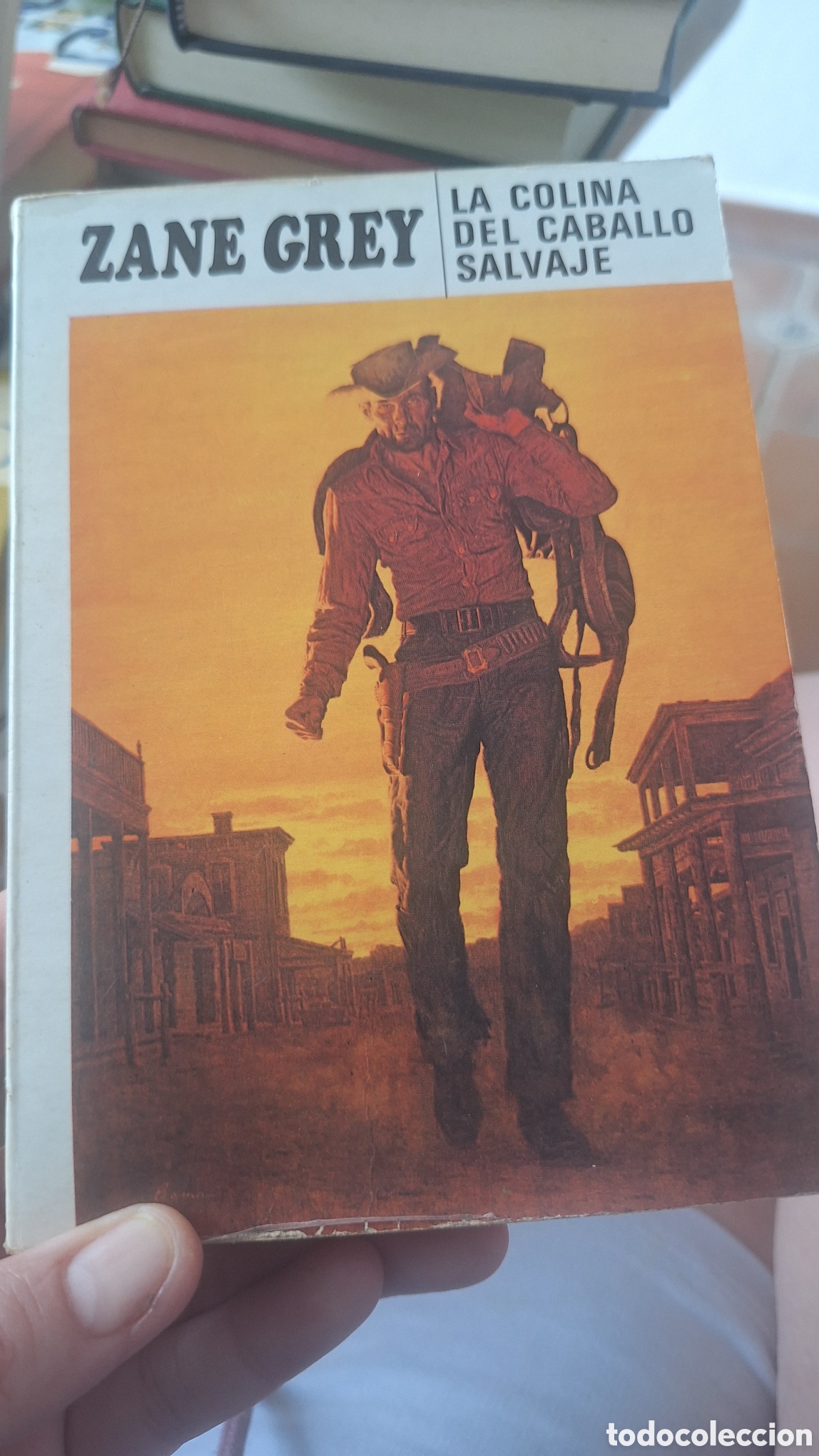 Libros de segunda mano: La colina del caballo salvaje