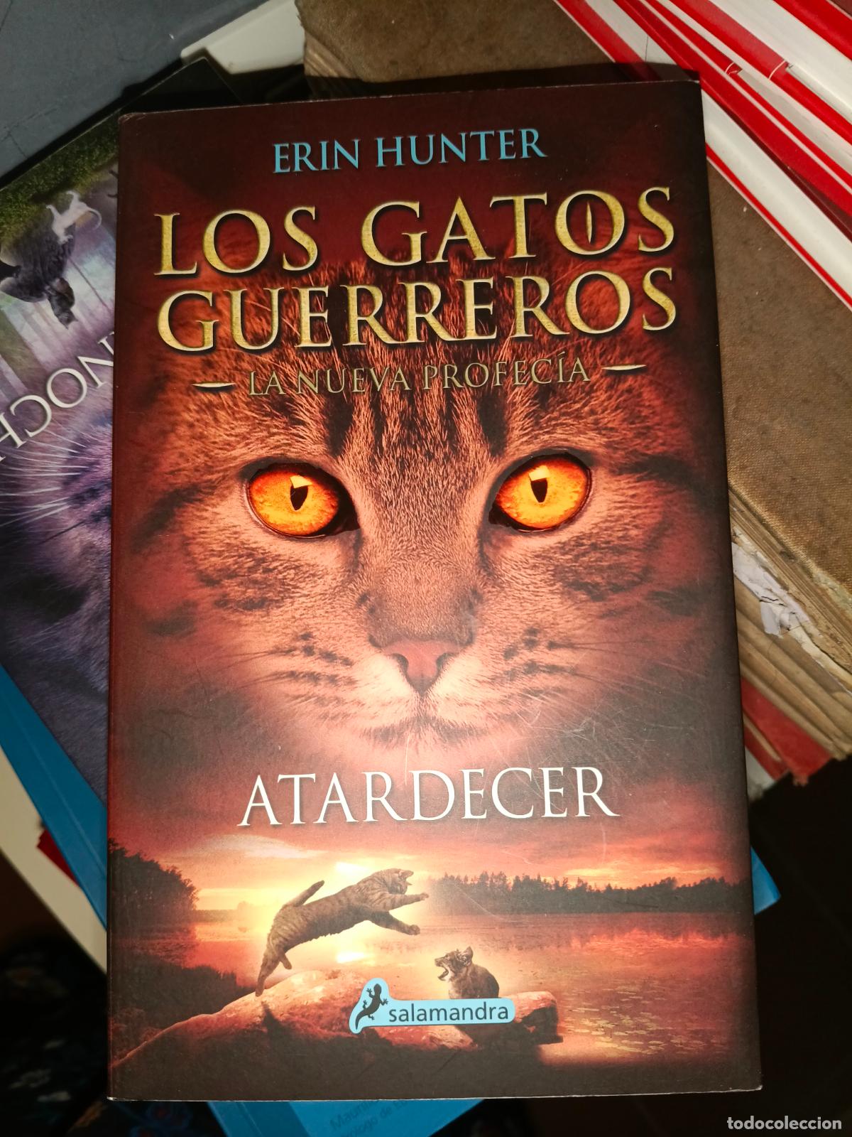 Libros de segunda mano: HUNTER, ERIN - LOS GATOS GUERREROS NUEVA PROFECIA 6 ATARDECER
