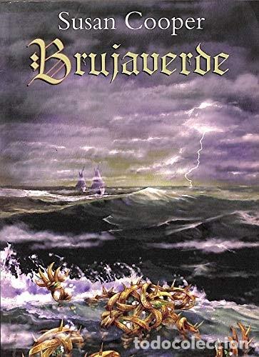 Libros de segunda mano: Brujaverde - Cooper Susan - Montena - Fantasy