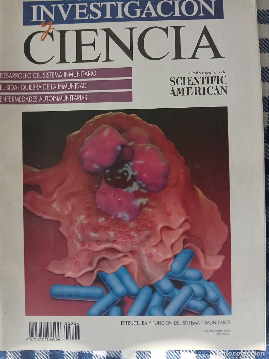 Libros de segunda mano: Investigacion y Ciencia noviembre 1993