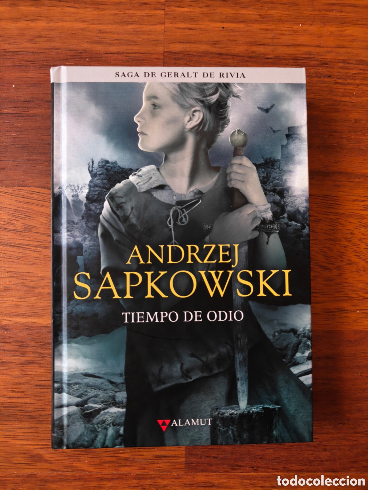 Libros de segunda mano: Tiempo de odio. Geralt de Rivia. The Witcher. Andrzej Sapkowski. Editorial Alamut.