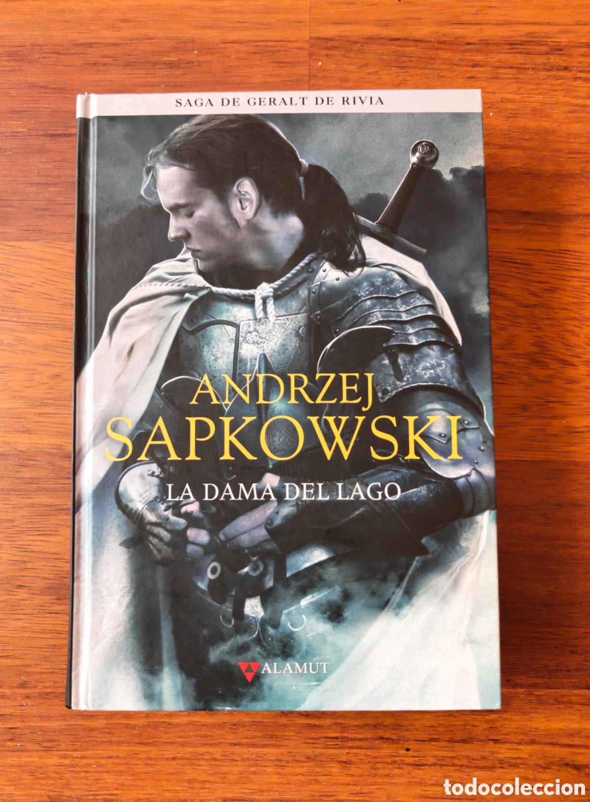 Libros de segunda mano: La dama del lago. Geralt de Rivia. The Witcher. Andrzej Sapkowski. Editorial Alamut.