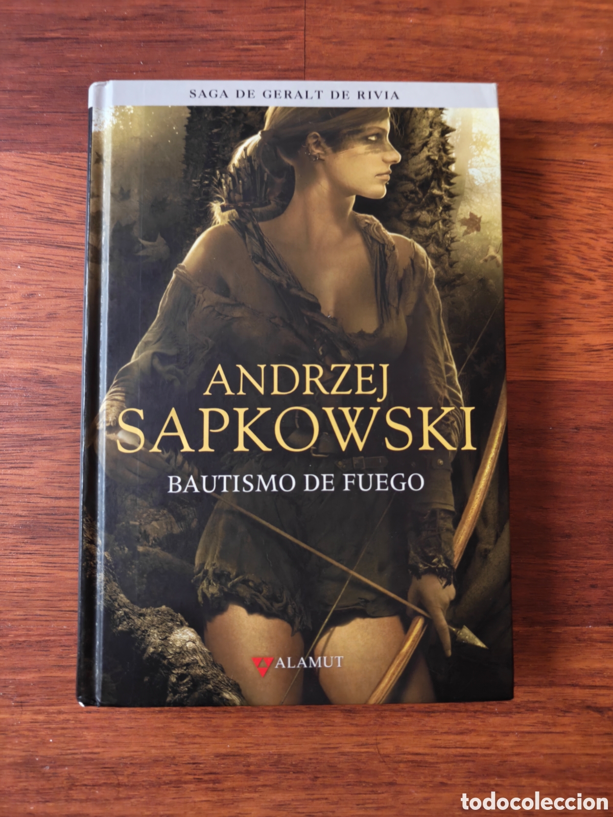 Libros de segunda mano: Bautismo de fuego. Geralt de Rivia. The Witcher. Andrzej Sapkowski. Editorial Alamut.