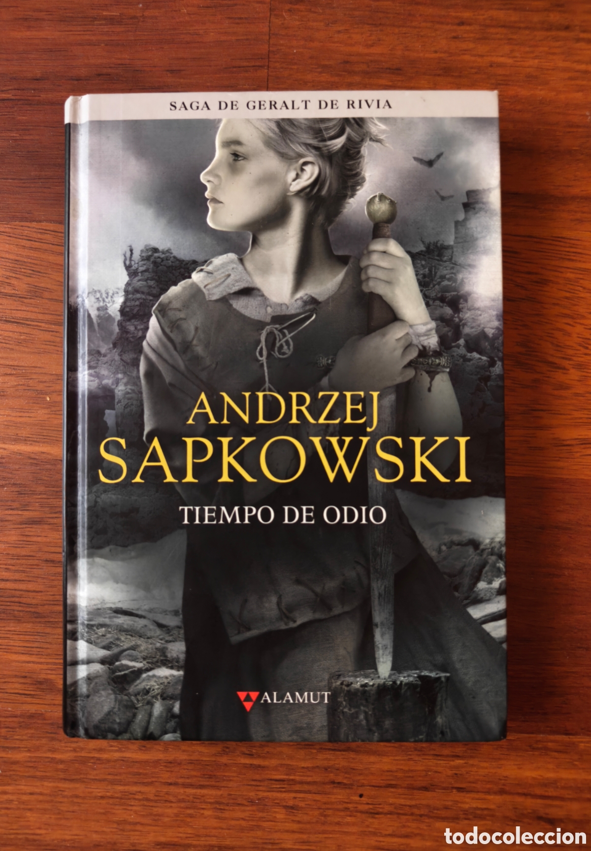 Libros de segunda mano: Tiempo de odio. Geralt de Rivia. The Witcher. Andrzej Sapkowski. Editorial Alamut.
