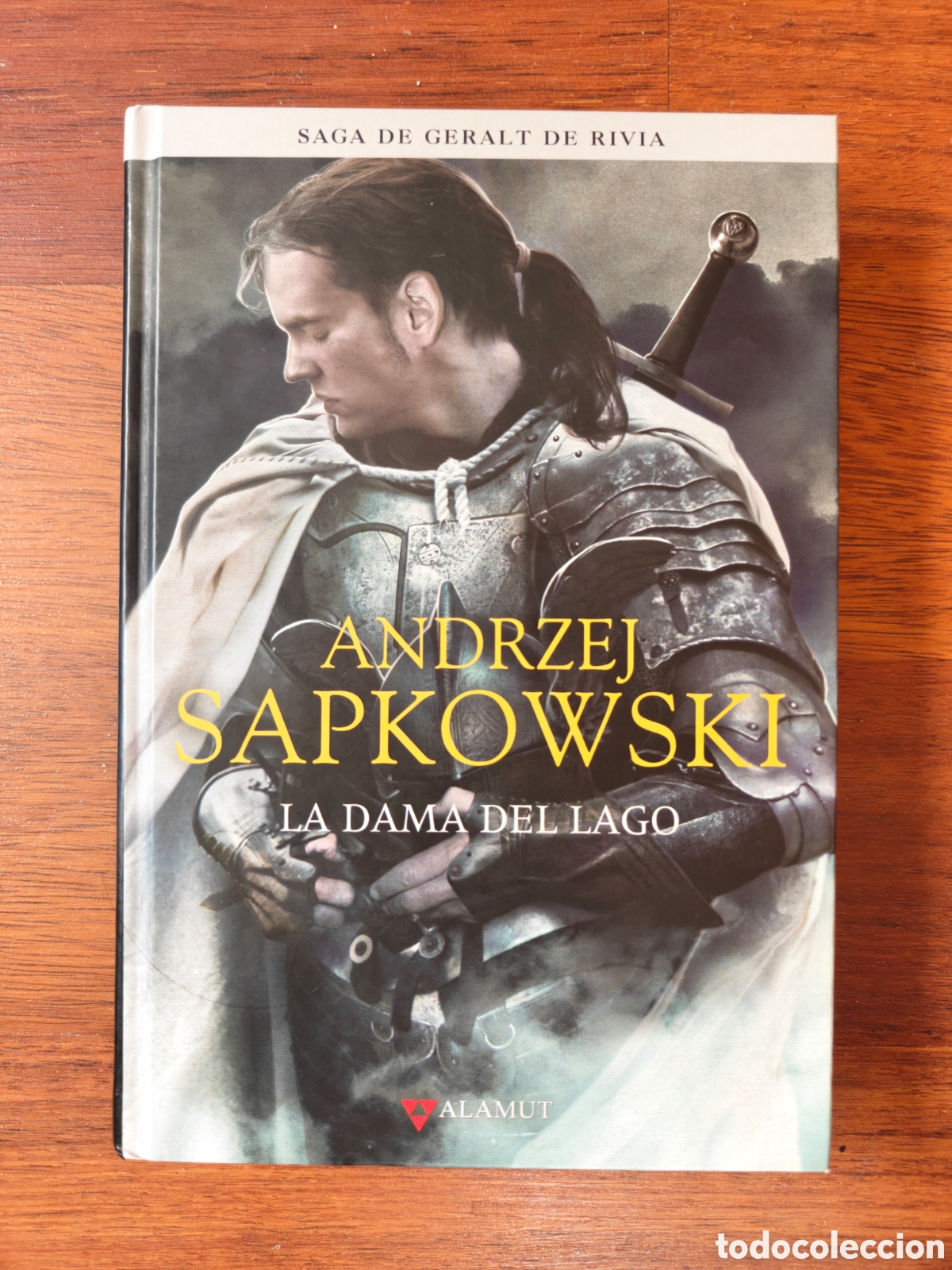 Libros de segunda mano: La dama del lago. Geralt de Rivia. The Witcher. Andrzej Sapkowski. Editorial Alamut.