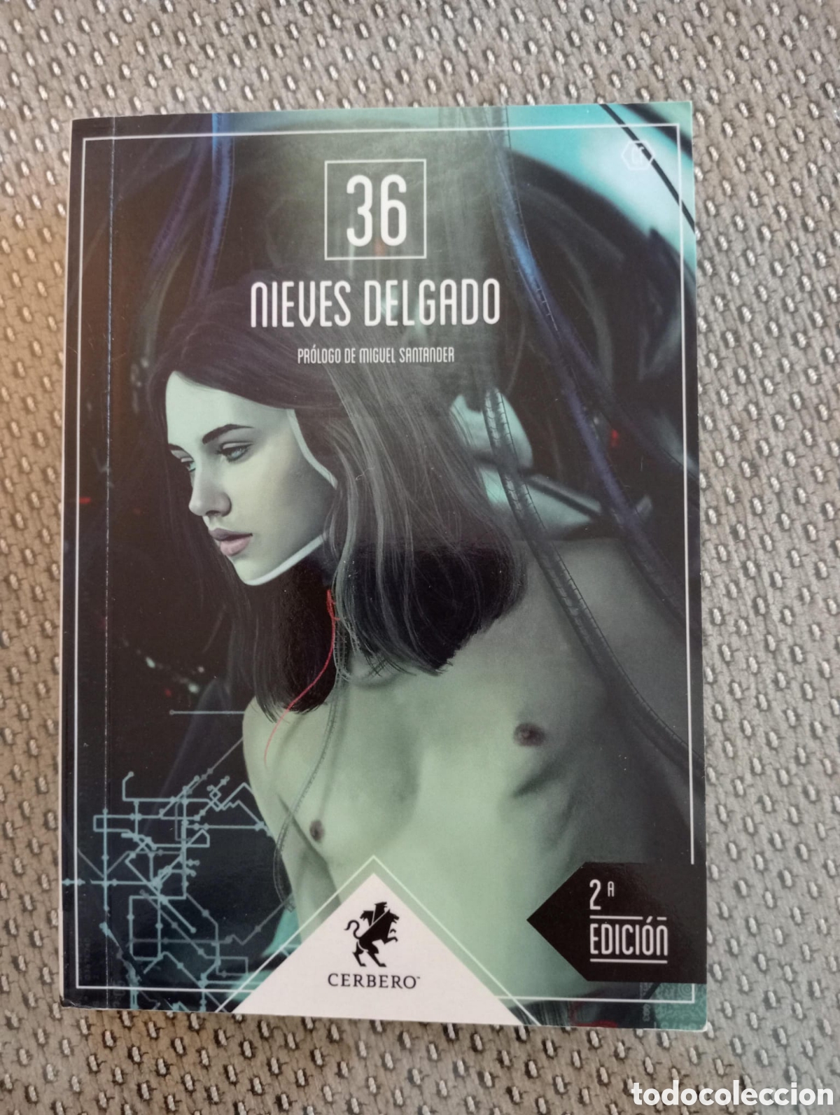 Libros de segunda mano: 36 / Nieves Delgado, pr&oacute;logo de Miguel Santander