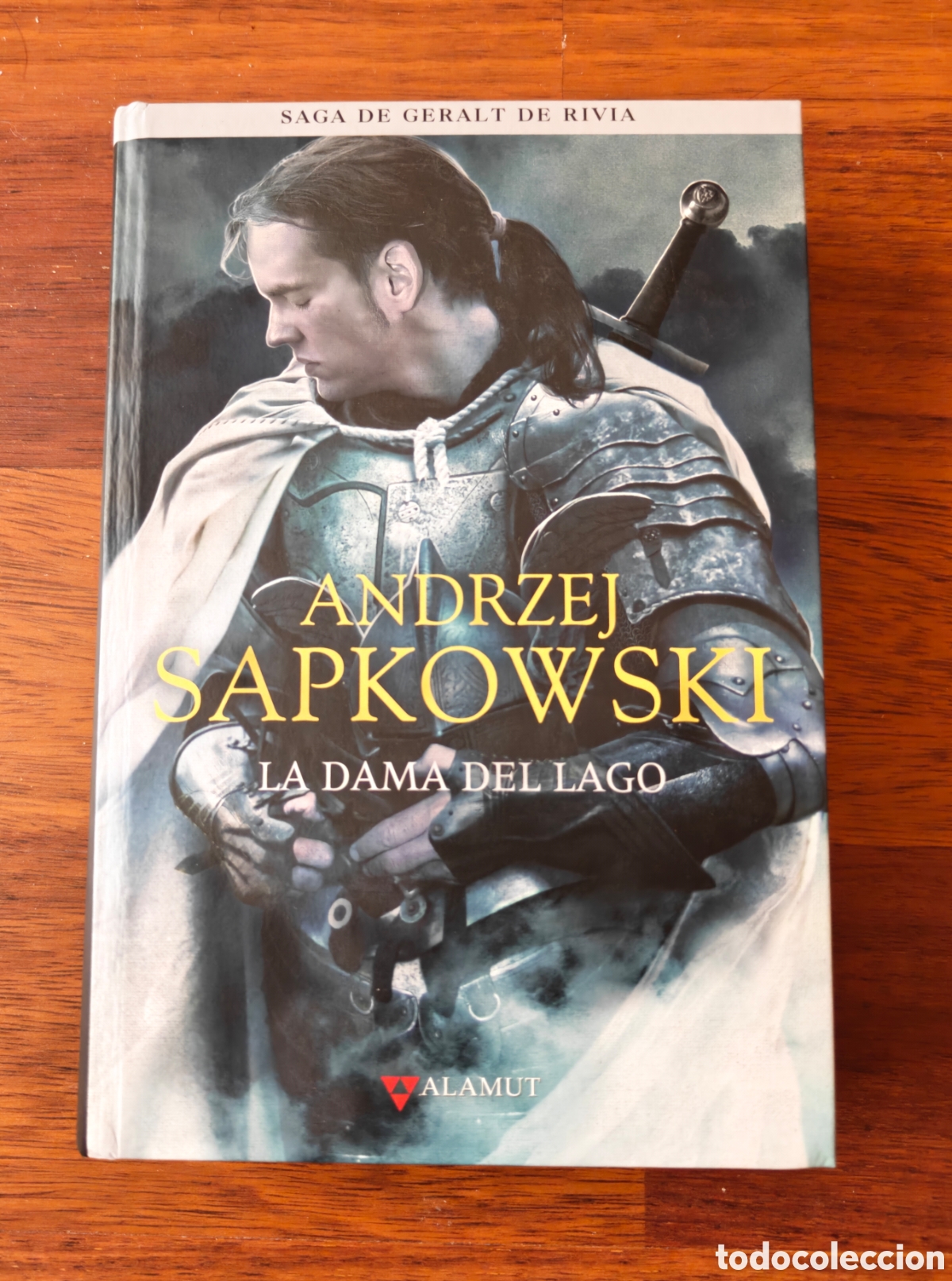 Libros de segunda mano: La dama del lago. Geralt de Rivia. The Witcher. Andrzej Sapkowski. Editorial Alamut.