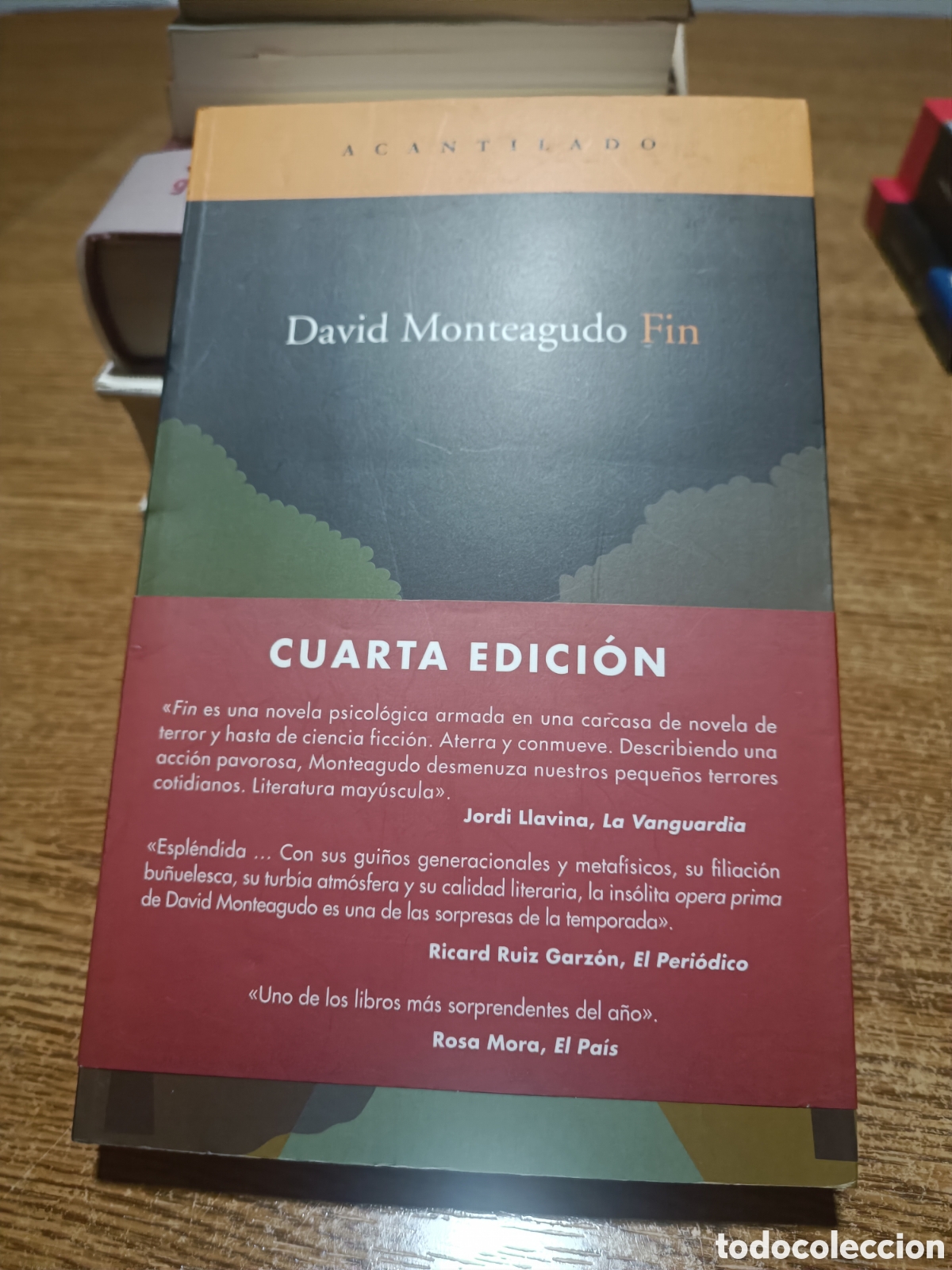 Libros de segunda mano: David monteagudo Fin. Acantilado