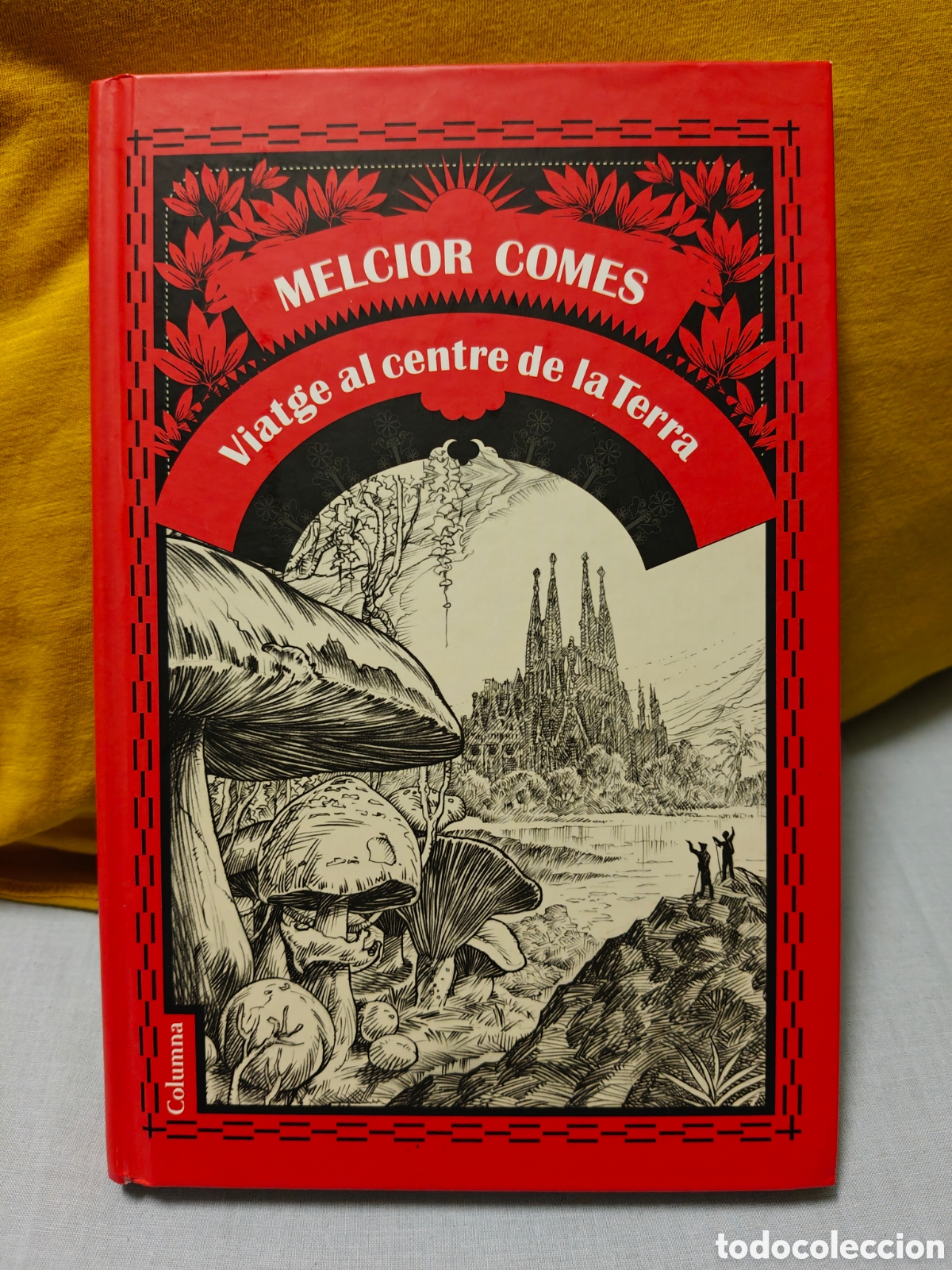 Libros de segunda mano: Viatge al centre de la Terra, Melchor Comes