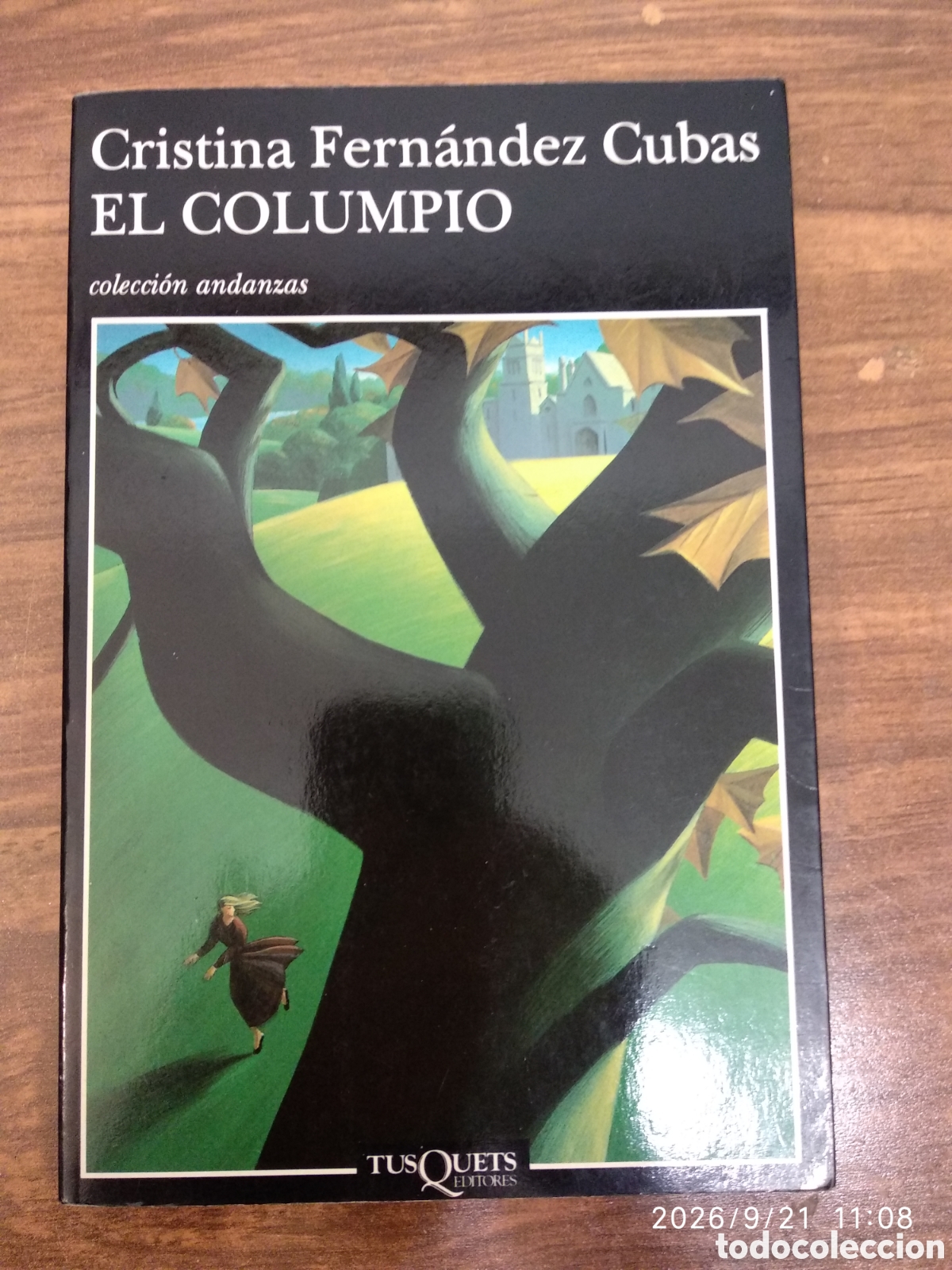 Libros de segunda mano: El columpio (Cristina Fern&aacute;ndez Cubas)