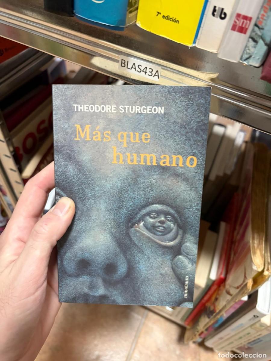 Libros de segunda mano: BLAS43A M&aacute;s que humano &mdash; Theodore Sturgeon &mdash; Minotauro