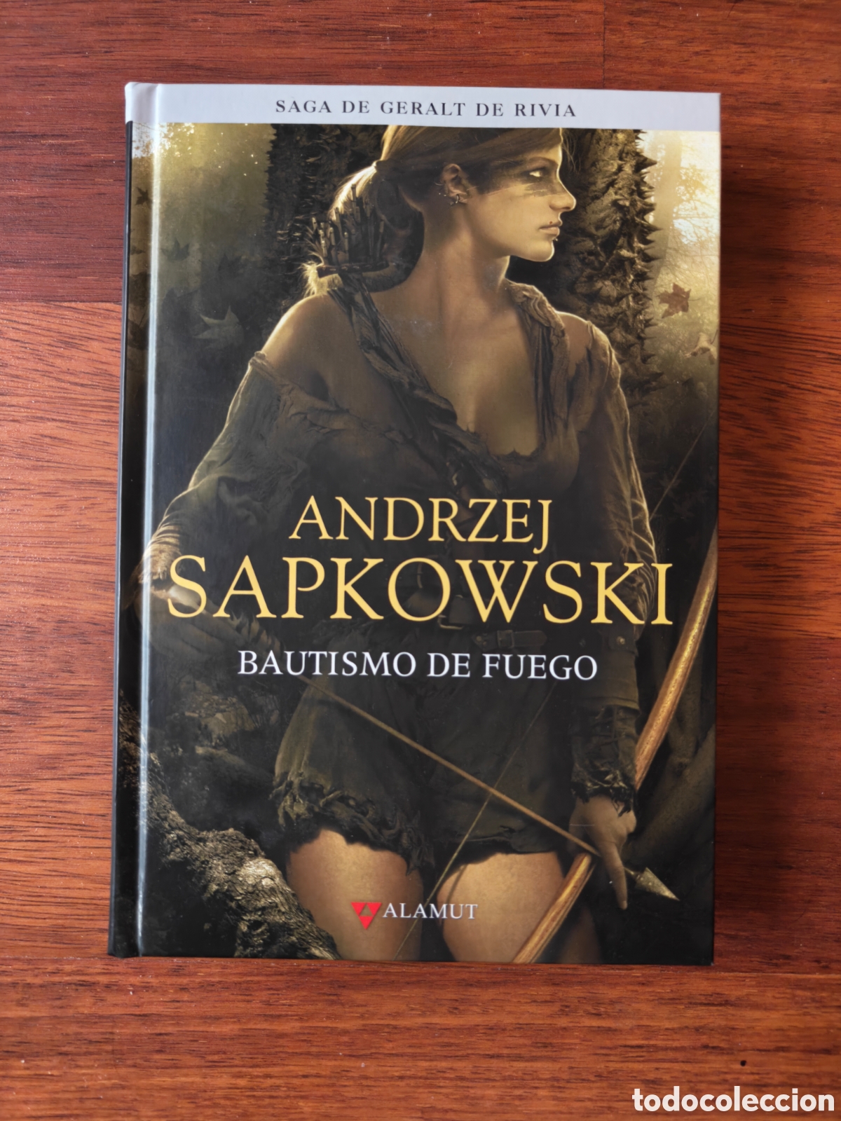 Libros de segunda mano: Bautismo de fuego. Geralt de Rivia. The Witcher. Andrzej Sapkowski. Editorial Alamut.