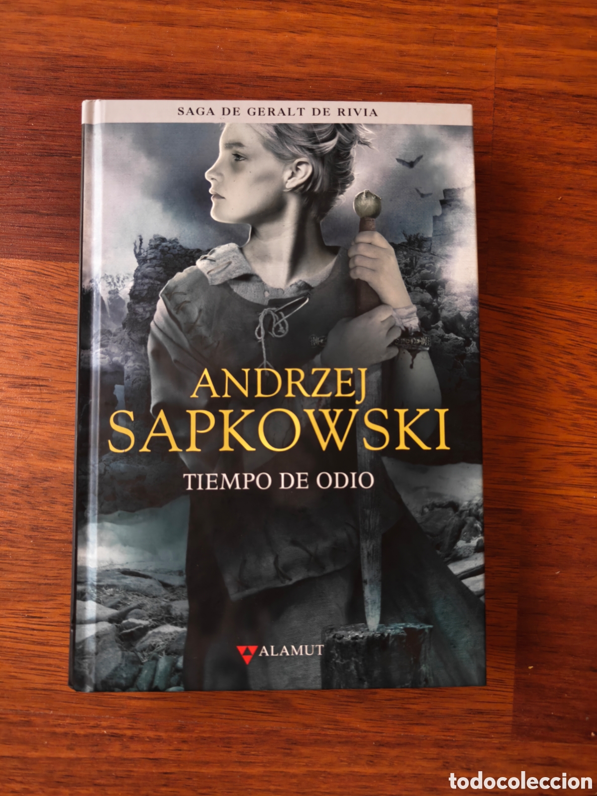 Libros de segunda mano: Tiempo de odio. Geralt de Rivia. The Witcher. Andrzej Sapkowski. Editorial Alamut.