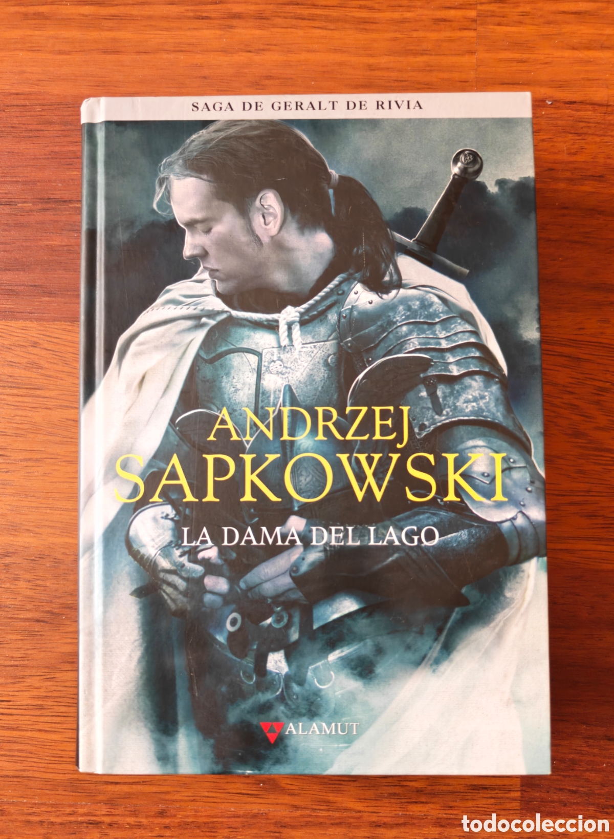 Libros de segunda mano: La dama del lago. Geralt de Rivia. The Witcher. Andrzej Sapkowski. Editorial Alamut.
