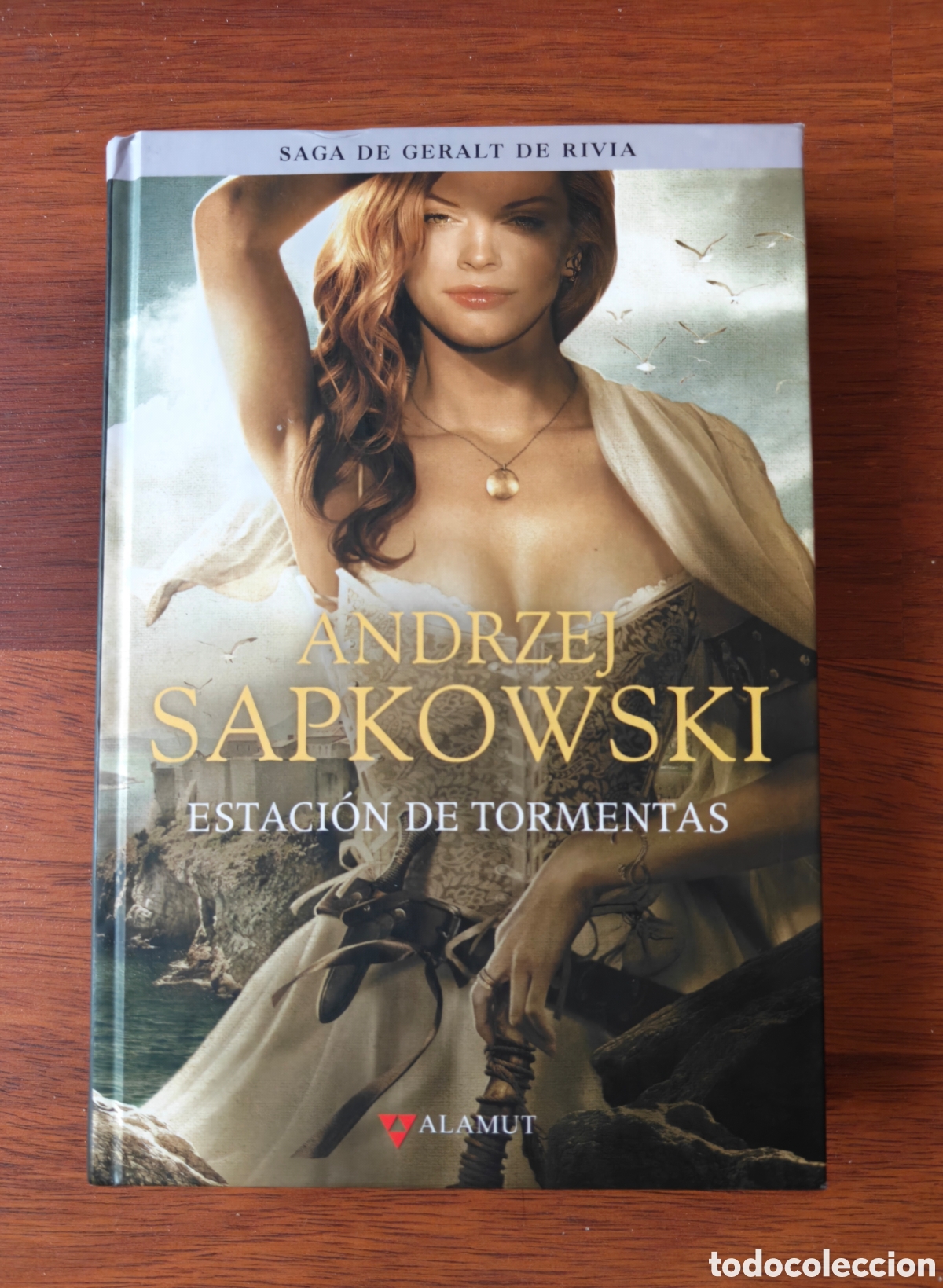 Libros de segunda mano: Estaci&oacute;n de tormentas. Geralt de Rivia. The Witcher. Andrzej Sapkowski. Editorial Alamut.