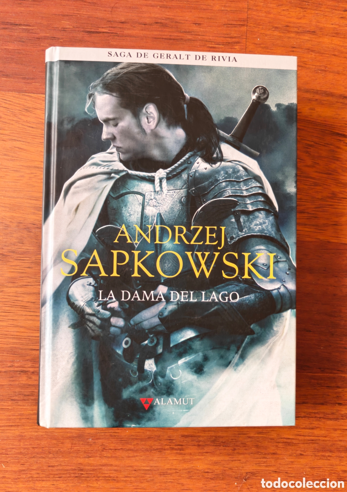 Libros de segunda mano: La dama del lago. Geralt de Rivia. The Witcher. Andrzej Sapkowski. Editorial Alamut.