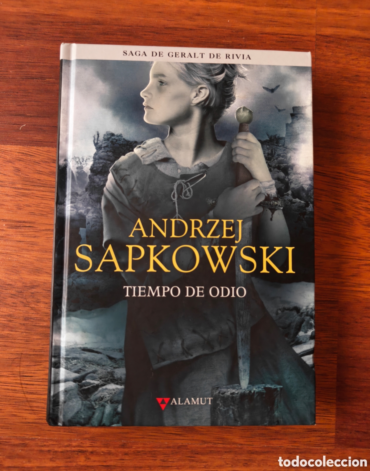 Libros de segunda mano: Tiempo odio. Geralt de Rivia. The Witcher. Andrzej Sapkowski. Editorial Alamut.