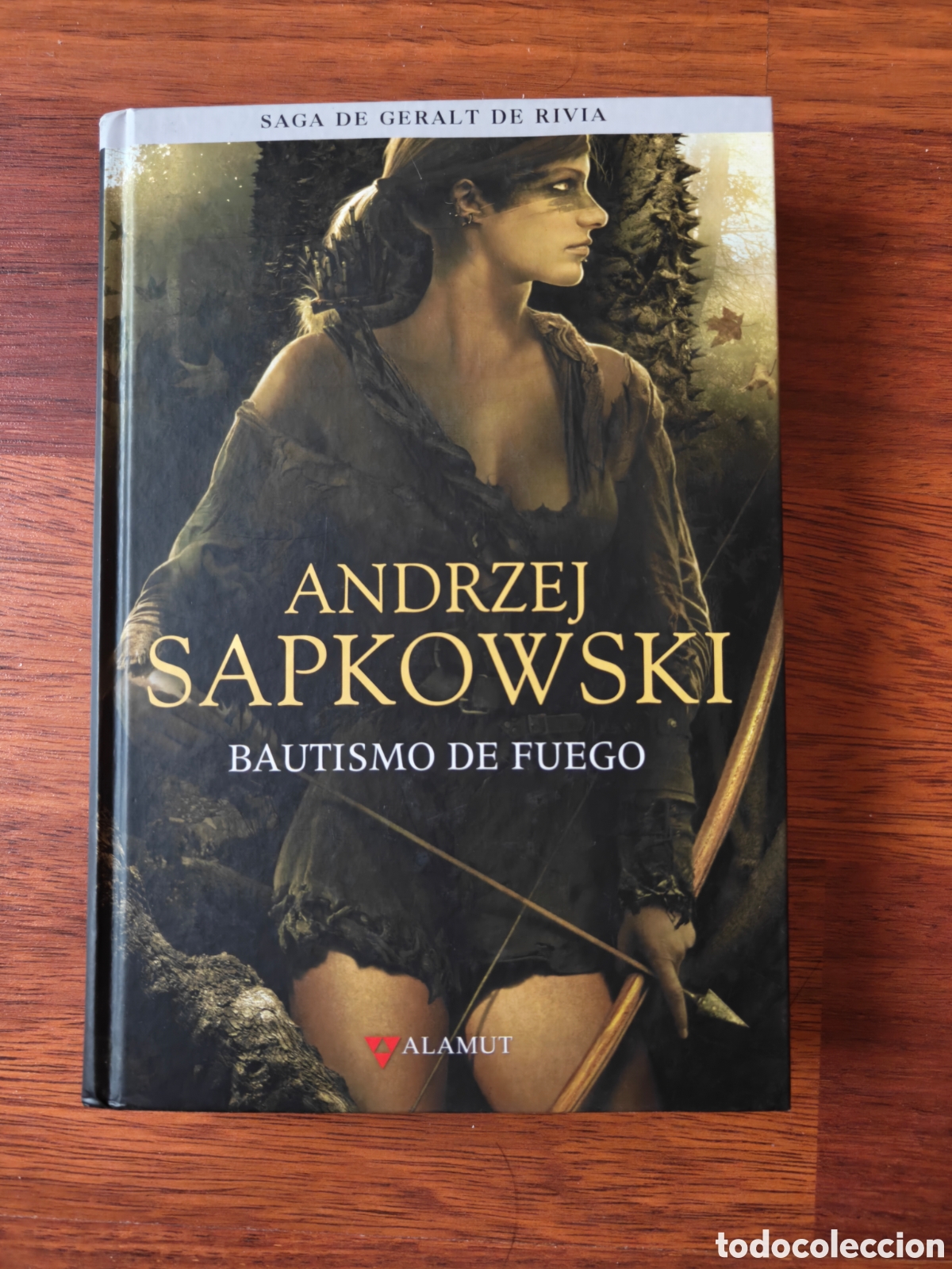 Libros de segunda mano: Bautismo de fuego. Geralt de Rivia. The Witcher. Andrzej Sapkowski. Editorial Alamut.
