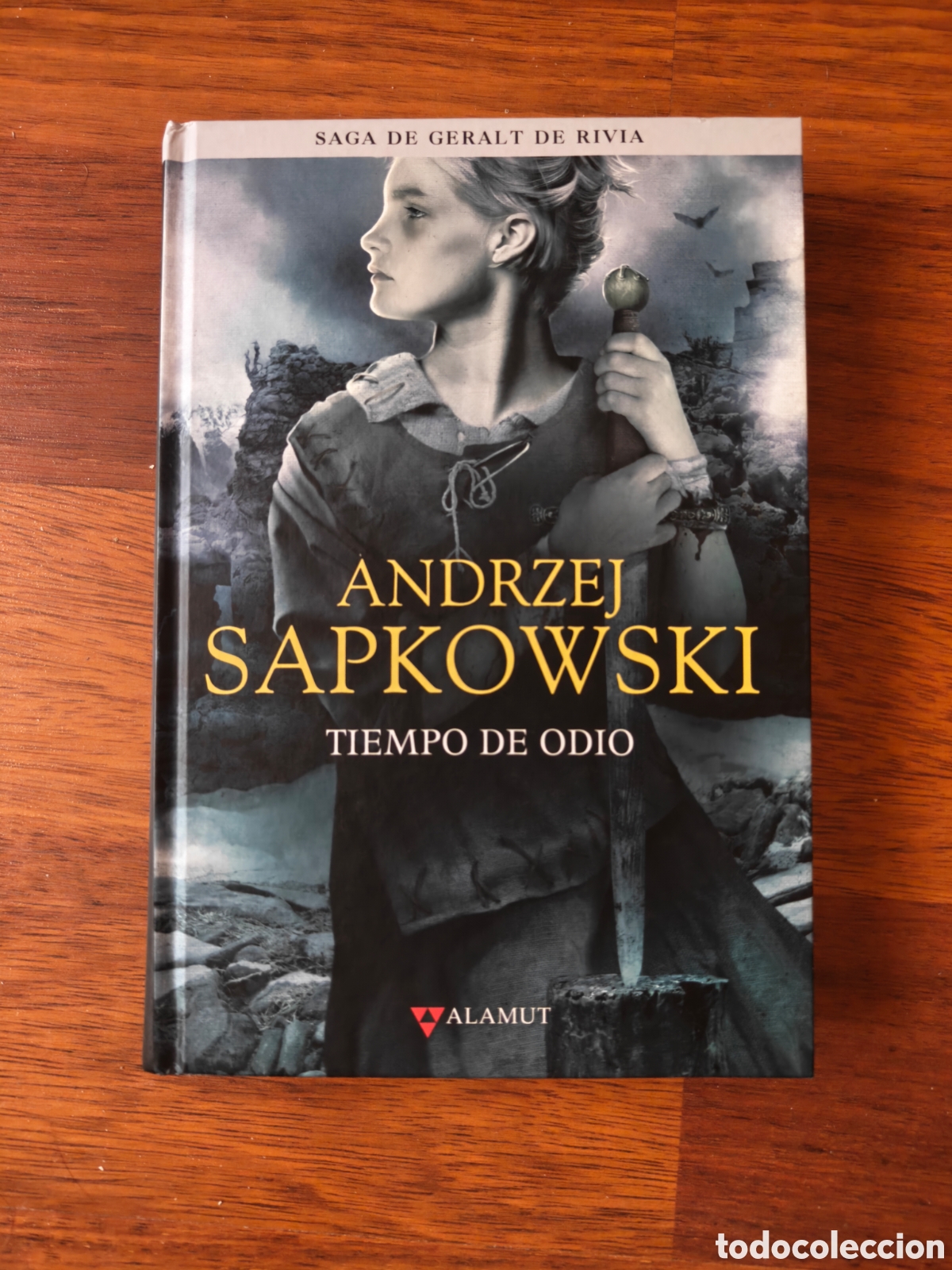 Libros de segunda mano: Tiempo odio. Geralt de Rivia. The Witcher. Andrzej Sapkowski. Editorial Alamut.