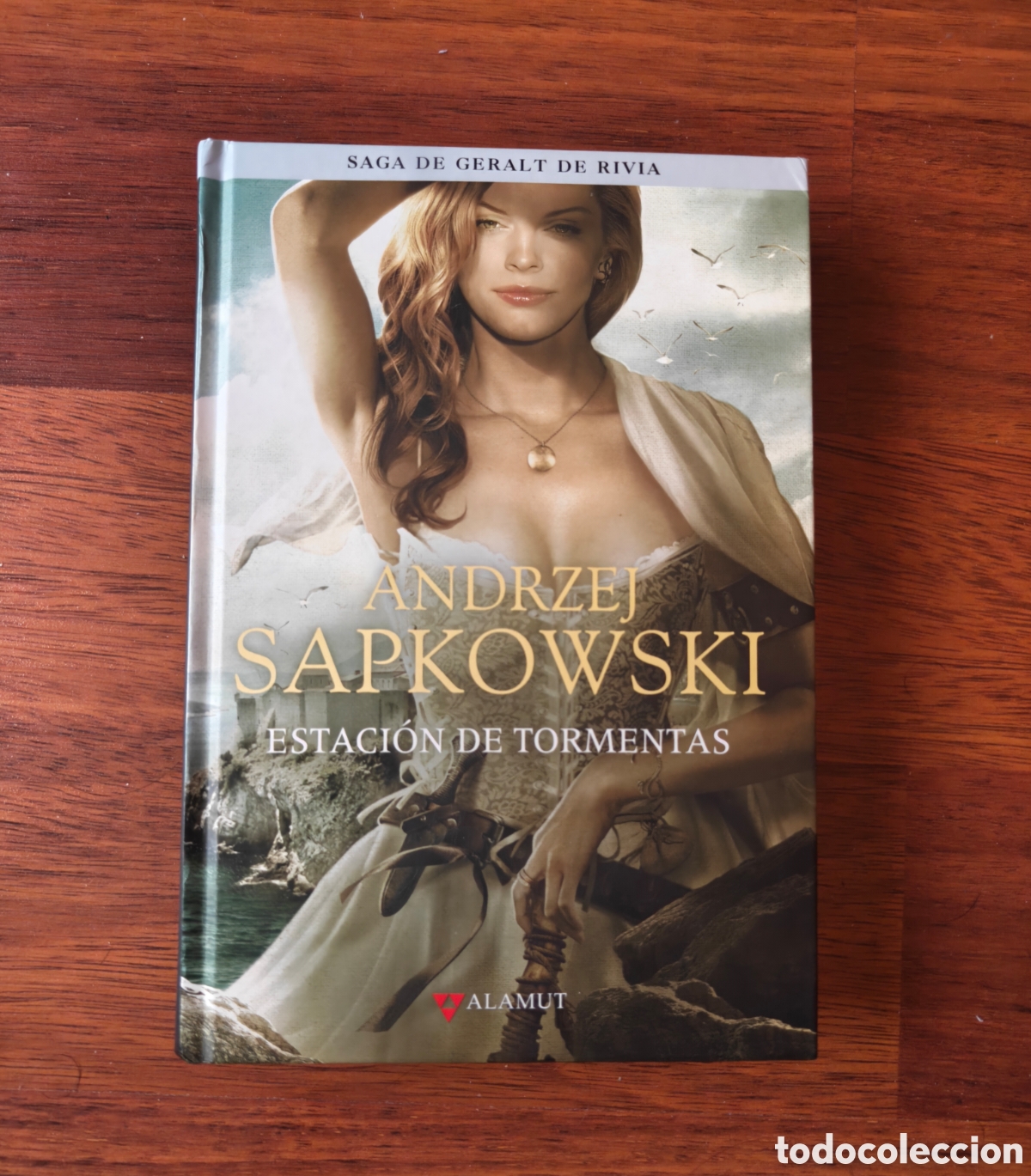 Libros de segunda mano: Estaci&oacute;n de tormentas. Geralt de Rivia. The Witcher. Andrzej Sapkowski. Edito